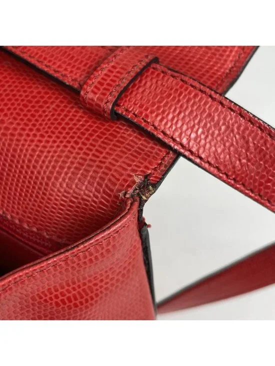 Celine Blason Logo 2-Way Shoulder Bag Leather Red - Picture 5 of 9